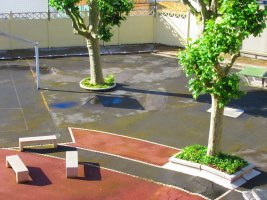 La cour